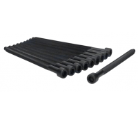 Болти головки двигуна (комплект, 10шт) Volkswagen Golf 5 / Фольксваген Гольф 5 1.9TDI / 2.0TDI / 2.0SDI 2003-2009 81026000 AJUSA (Іспанія)