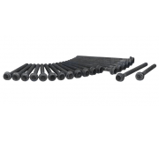 Болти головки двигуна (комплект, 13шт) Volkswagen Golf 5 / Фольксваген Гольф 5 2.0 (бензин) 2003-2009 81038900 AJUSA (Іспанія)