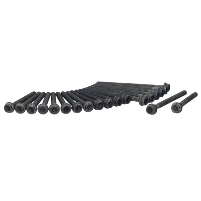 Болти головки двигуна (комплект, 13шт) Volkswagen Golf 5 / Фольксваген Гольф 5 2.0 (бензин) 2003-2009 81038900 AJUSA (Іспанія)