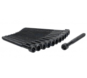 Болти головки двигуна (комплект, 10шт) Volkswagen Golf 5 / Фольксваген Гольф 5 2.5 (бензин) 2003-2009 81040800 AJUSA (Іспанія)