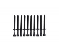 Болти головки двигуна (комплект, 10шт) Volkswagen Golf 5 / Фольксваген Гольф 5 2.0 (бензин) 2003-2009 8709051 KAMOKA (Польща)