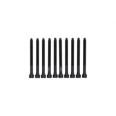 Болти головки двигуна (комплект, 10шт) Volkswagen Golf 5 / Фольксваген Гольф 5 2.0 (бензин) 2003-2009 8709074 KAMOKA (Польша)