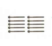 Болти головки двигуна (комплект, 10шт) Volkswagen Golf 5 / Фольксваген Гольф 5 2.0 (бензин) 2003-2009 B10625 BORSEHUNG (Німеччина)