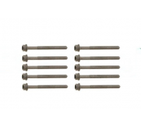 Болти головки двигуна (комплект, 10шт) Volkswagen Golf 5 / Фольксваген Гольф 5 2.0 (бензин) 2003-2009 B10625 BORSEHUNG (Німеччина)