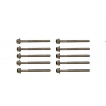 Болти головки двигуна (комплект, 10шт) Volkswagen Golf 5 / Фольксваген Гольф 5 2.0 (бензин) 2003-2009 B10625 BORSEHUNG (Німеччина)