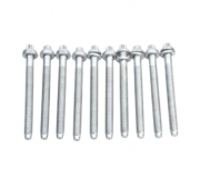 Болты головки двигателя (комплект, 10шт) Volkswagen Golf 5 / Фольксваген Гольф 5 2.0 (бензин) 2003-2009 B1661 FAI AUTOPARTS (Великобритания)