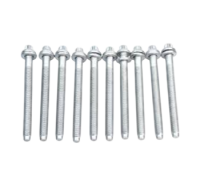 Болти головки двигуна (комплект, 10шт) Volkswagen Golf 5 / Фольксваген Гольф 5 2.0 (бензин) 2003-2009 B1661 FAI AUTOPARTS (Великобританія)