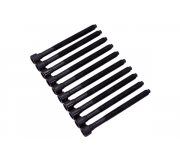 Болти головки двигуна (комплект, 10шт) Volkswagen Golf 5 / Фольксваген Гольф 5 2.0 (бензин) 2003-2009 BK3346 BGA (Великобританія)