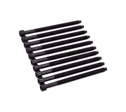 Болти головки двигуна (комплект, 10шт) Volkswagen Golf 5 / Фольксваген Гольф 5 1.9TDI / 2.0TDI / 2.0SDI 2003-2009 BK4365 BGA (Великобританія)