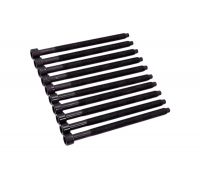 Болти головки двигуна (комплект, 10шт) Volkswagen Golf 5 / Фольксваген Гольф 5 1.9TDI / 2.0TDI / 2.0SDI 2003-2009 BK4365 BGA (Великобританія)