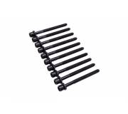 Болти головки двигуна (комплект, 10шт) Volkswagen Golf 5 / Фольксваген Гольф 5 2.0 (бензин) 2003-2009 BK5346 BGA (Великобританія)