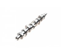 Розподільний вал Volkswagen Golf 5 / Фольксваген Гольф 5 1.9TDI 2003-2009 B17861 BORSEHUNG (Німеччина)