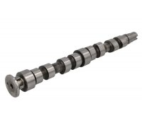 Распределительный вал Volkswagen Golf 5 / Фольксваген Гольф 5 1.4 (бензин) 2003-2009 CAM925 AE (США)