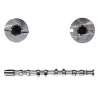 Розподільний вал Volkswagen Golf 5 / Фольксваген Гольф 5 2.0 (бензин) 2003-2009 CM05-2249 FRECCIA (Італія)