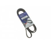 Ремень генератора Volkswagen Golf 5 / Фольксваген Гольф 5 3.2 (бензин) 2003-2009 1613K6 HUTCHINSON (Франция)