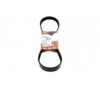 Ремень генератора Volkswagen Golf 5 / Фольксваген Гольф 5 1.6 / 2.0 (бензин) 2003-2009 28903 FEBI (Германия)