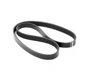 Ремень генератора Volkswagen Golf 5 / Фольксваген Гольф 5 1.6 / 2.0 (бензин) 2003-2009 28920 FEBI (Германия)