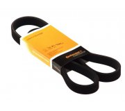 Ремень генератора Volkswagen Golf 5 / Фольксваген Гольф 5 1.4 (бензин) 2003-2009 6DPK1100 CONTINENTAL (Германия)