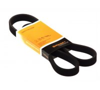 Ремень генератора Volkswagen Golf 5 / Фольксваген Гольф 5 1.4 (бензин) 2003-2009 6DPK1100 CONTINENTAL (Германия)