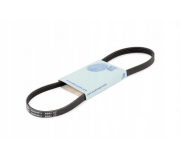 Ремень генератора Volkswagen Golf 5 / Фольксваген Гольф 5 1.4 (бензин) 2003-2009 AD06R1100 BLUE PRINT (Польша)