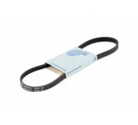 Ремень генератора Volkswagen Golf 5 / Фольксваген Гольф 5 1.4 (бензин) 2003-2009 AD06R1100 BLUE PRINT (Польша)