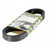 Ремень генератора Volkswagen Golf 5 / Фольксваген Гольф 5 3.2 (бензин) 2003-2009 CA6PK1613 SNR (Франция)