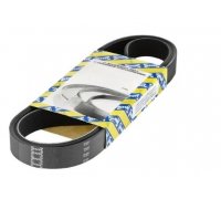 Ремень генератора Volkswagen Golf 5 / Фольксваген Гольф 5 3.2 (бензин) 2003-2009 CA6PK1613 SNR (Франция)