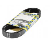 Ремень генератора Volkswagen Golf 5 / Фольксваген Гольф 5 1.4 (бензин) 2003-2009 CA6PK736 SNR (Франция)