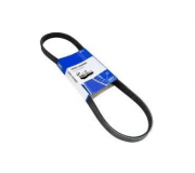 Ремень генератора Volkswagen Golf 5 / Фольксваген Гольф 5 3.2 (бензин) 2003-2009 VKMV6PK1613 SKF (Франция)