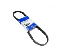 Ремень генератора Volkswagen Golf 5 / Фольксваген Гольф 5 3.2 (бензин) 2003-2009 VKMV6PK1613 SKF (Франция)