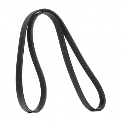 Ремень генератора Volkswagen Golf 5 / Фольксваген Гольф 5 1.4 (бензин) 2003-2009 VKMV6PK736 SKF (Франция)