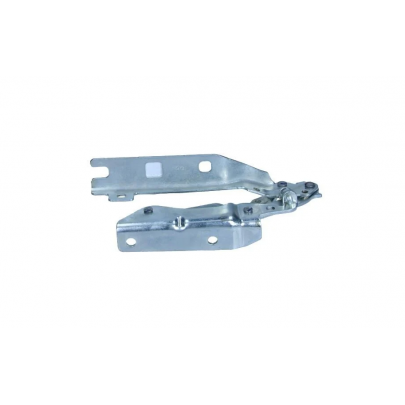 Завеса капота правая Volkswagen Golf 5 / Фольксваген Гольф 5 2003-2009 1KM823302 VW (Германия)