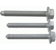 Болт развальный заднего рычага (комплект) Volkswagen Golf 5 / Фольксваген Гольф 5 2003-2009 37905 LEMFORDER (Германия)