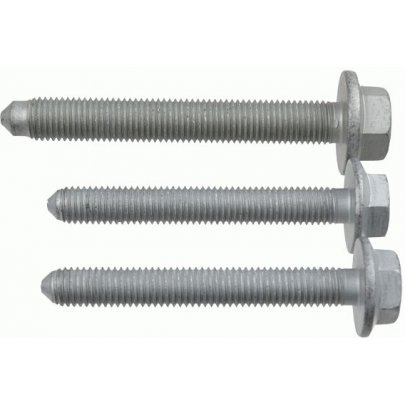 Болт развальный заднего рычага (комплект) Volkswagen Golf 5 / Фольксваген Гольф 5 2003-2009 37905 LEMFORDER (Германия)