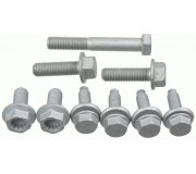 Болт развальный заднего рычага (комплект) Volkswagen Golf 5 / Фольксваген Гольф 5 2003-2009 38906 LEMFORDER (Германия)