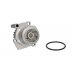 Помпа / водяний насос Volkswagen Golf 5 / Фольксваген Гольф 5 1.9TDI / 2.0SDI 2003-2009 D1W037TT THERMOTEC (Польща) - Фото №1
