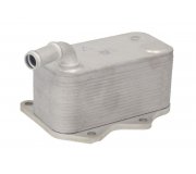 Радиатор масляный / теплообменник (125x115x210) Volkswagen Golf 5 / Фольксваген Гольф 5 2.0 (бензин) 2003-2009 D4A007TT THERMOTEC (Польша)