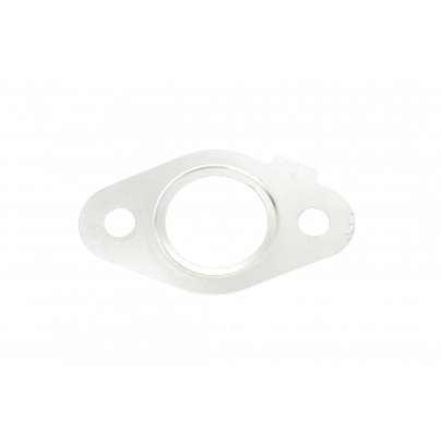 Прокладка клапана EGR (D=21mm) Volkswagen Golf 5 / Фольксваген Гольф 5 2003-2009 016.260 ELRING (Німеччина)