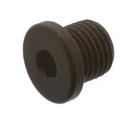 Зливна пробка масляного піддону (M14x1.5) Volkswagen Touareg 2 / Фольксваген Туарег 2010-2018 30938788 SWAG (Німеччина)