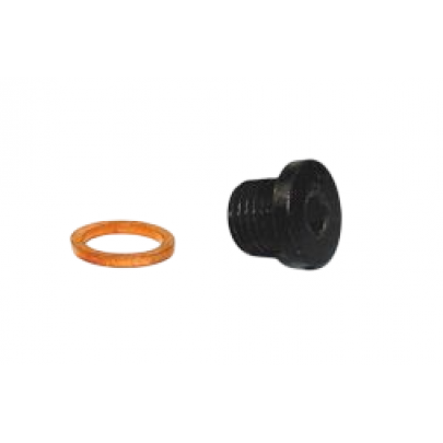 Зливна пробка масляного піддону (M14x1.5) Volkswagen Touareg 2 / Фольксваген Туарег 2010-2018 PK0103 BGA (Великобританія)