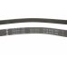 Ремінь генератора Volkswagen Touareg 2 / Фольксваген Туарег 2 4.2 V8 FSI 2010-2018 FB5PK1120 INA (Німеччина) - Фото №3