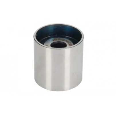 Ролик паразитний ГРМ (28.5x29мм) Volkswagen Touareg 2 / Фольксваген Туарег 2 3.0 V6 TDI 2010-2018 21795 CAFFARO (Польща)