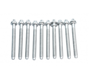Болт головки двигуна (комплект, 10шт) Volkswagen Tiguan / Фольксваген Тігуан 2.0 TFSI 2007-2016 B1661 FAI AUTOPARTS (Великобританія)