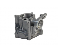 Вакуумный насос Volkswagen Tiguan / Фольксваген Тігуан 2.0 TFSI 2007-2016 A1916110 BOGAP (Германия)