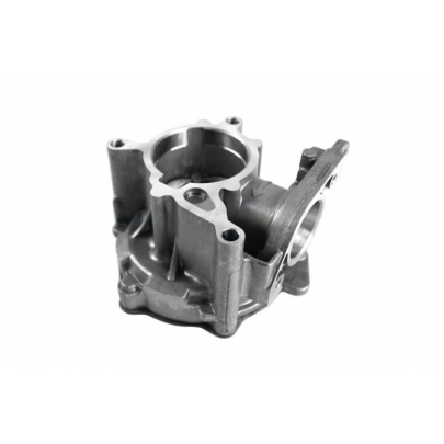 Вакуумный насос Volkswagen Tiguan / Фольксваген Тігуан 2.0 TFSI 2007-2016 A1916115 BOGAP (Германия)